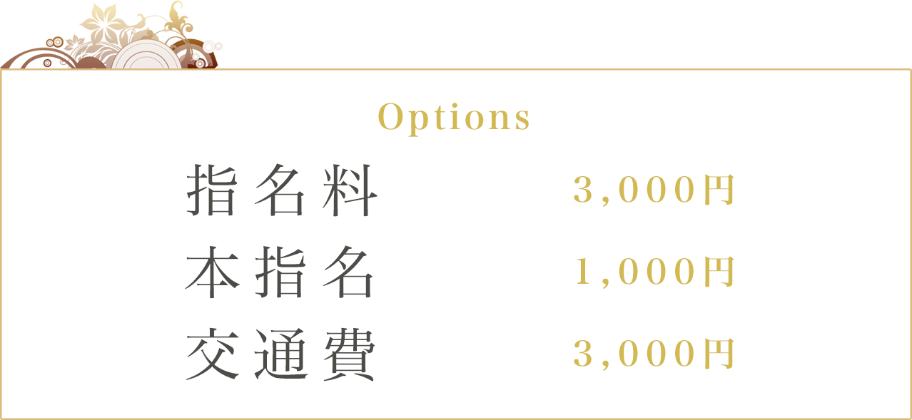Options 交通費:3000円 指名料:3000円 本指名:1000円