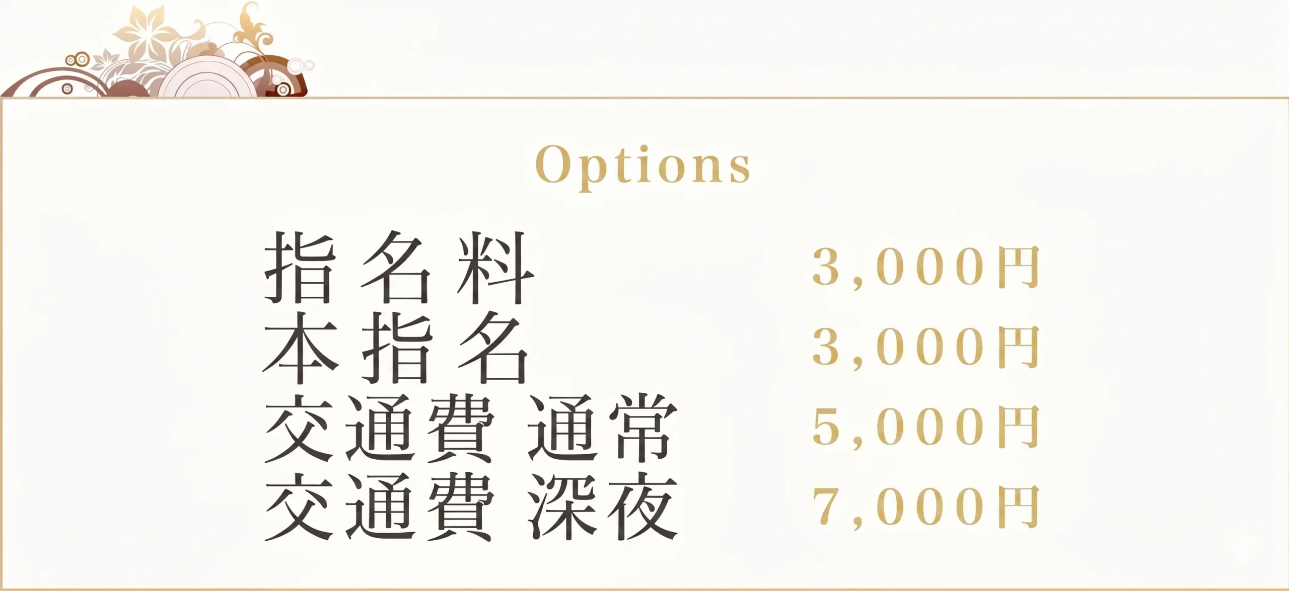Options 交通費 通常:5000円 深夜交通費:7000円 指名料:3000円 本指名:3000円