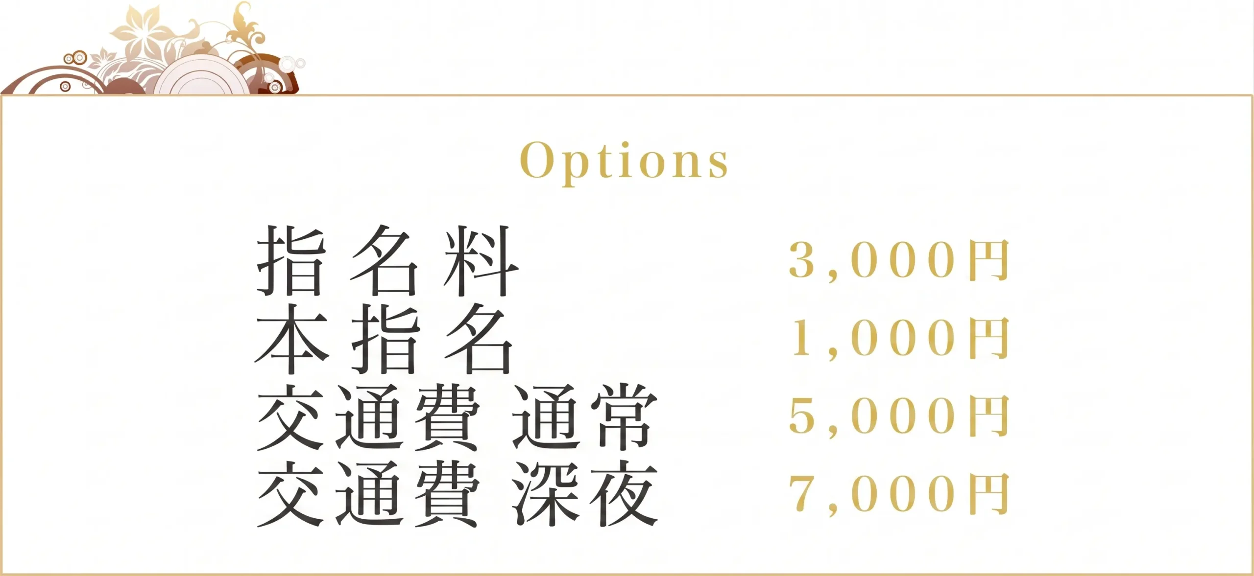 Options 交通費 通常:5000円 深夜交通費:7000円 指名料:3000円 本指名:1000円